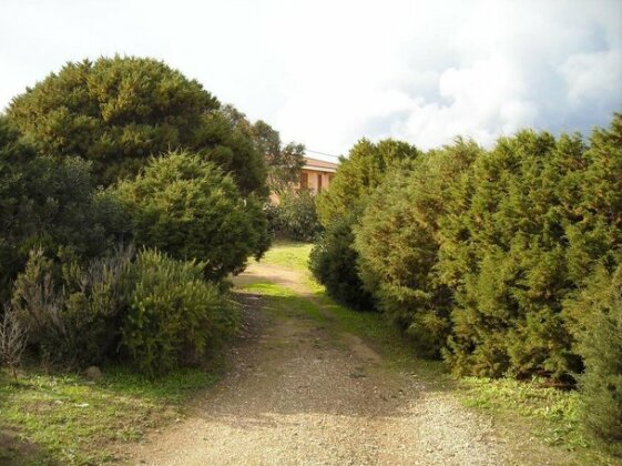 Agriturismo Depalmas - Photo4
