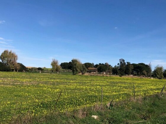 Podere Stintino - Photo5