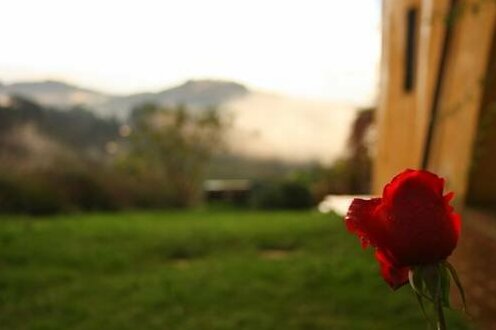 Poderi in Chianti - Photo4