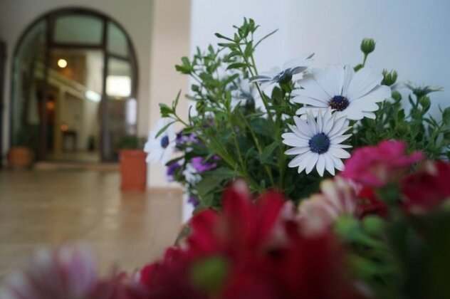 My loft close to Gallipoli - Photo4