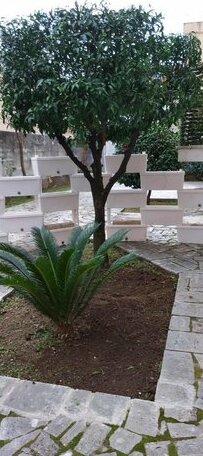 Calliope Terracina - Photo3
