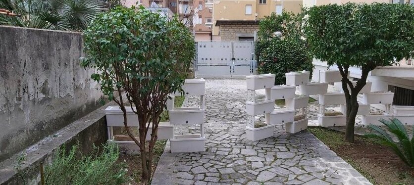 Calliope Terracina - Photo5