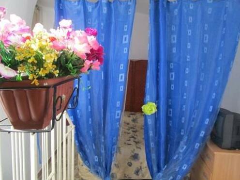 Sicily terrasini al mare - Photo5
