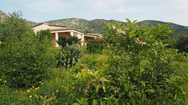 Sa Teria Village - Photo3