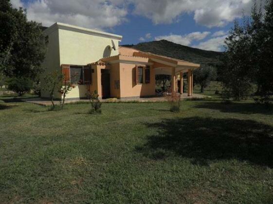 Su Concali - Photo2
