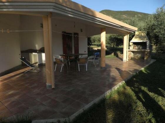 Su Concali - Photo4