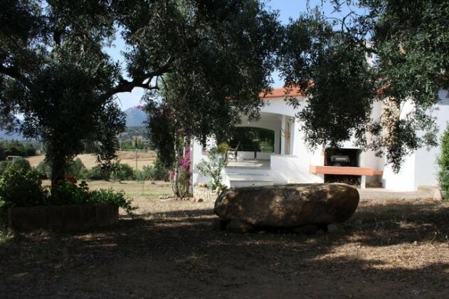 Villa in Ogliastra - Photo5