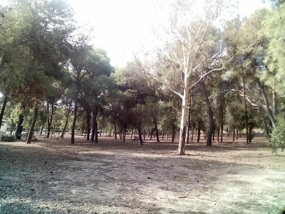 Villa Loddo 1 P 3 Min Dal Mare Sconto Host - Photo3