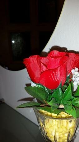 Appartamento Paradiso Tesero - Photo3