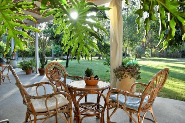 B&B Giallo Limone - Photo5