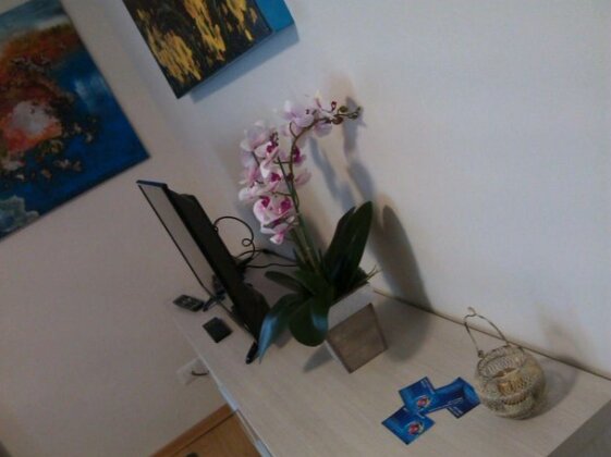Appartamento Orchidea Torrita di Siena - Photo3