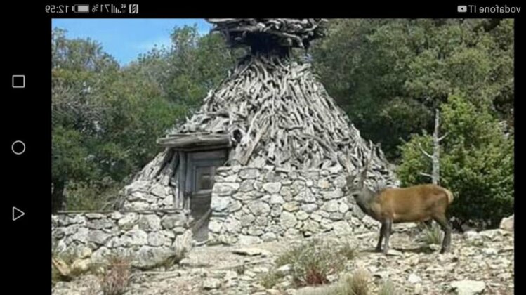Casa Murino - Photo3
