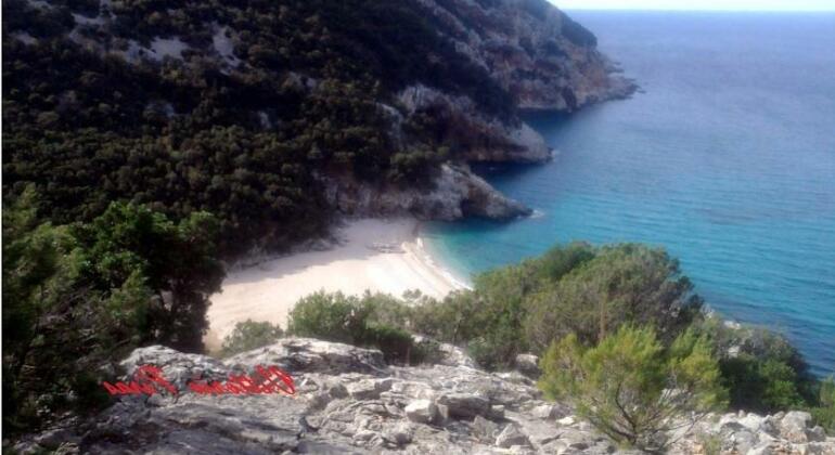 Casa Vacanze Poseidon - Photo5
