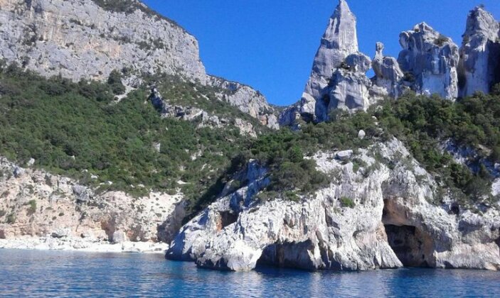 Il sughereto - Photo3
