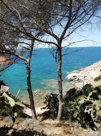 Ricante - Photo5