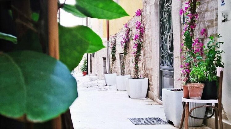 Casa Vischi - Photo3