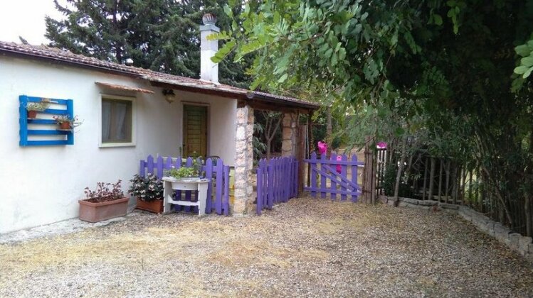 L'aranceto di Giorgia - Photo2