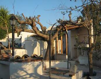 Pacheco Garden - Photo3