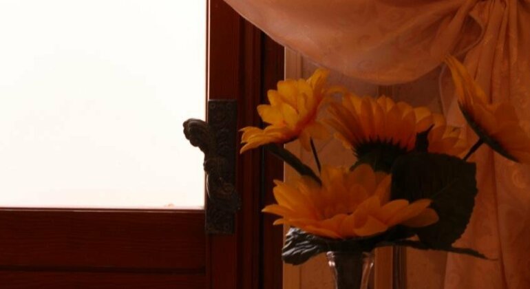 Holiday's Home Rosemarie - Photo2