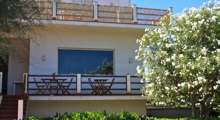 Magnolia Gialla - Photo2