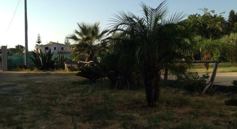 Relax a Trappeto - Photo4