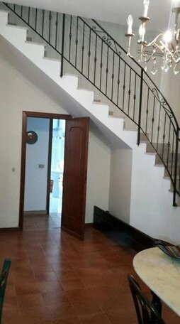 Villa Le Palme Trappeto - Photo4