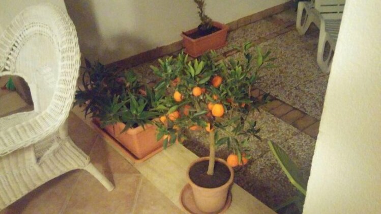 Villa Marina Trappeto - Photo5