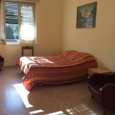 Il Grande Pino - Photo2