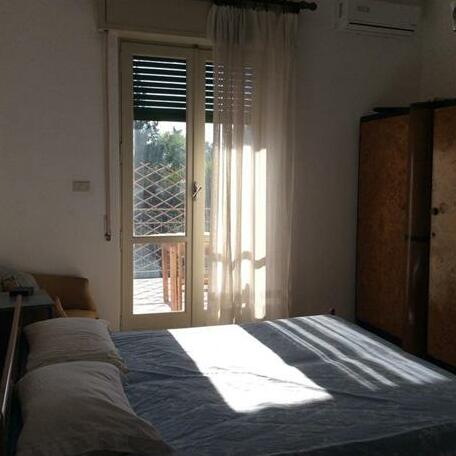 Il Grande Pino - Photo4
