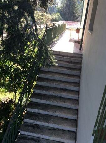 Il Grande Pino - Photo5
