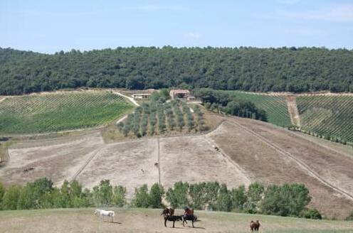 Le Crete Azienda Agraria Agriturismo - Photo3