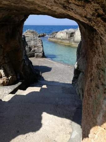 Lucapannune - Photo3