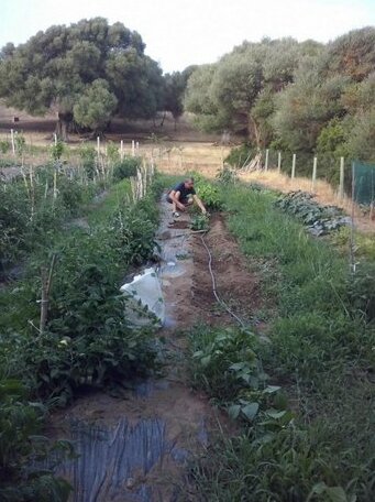 Agriturismo Gli Olivastri