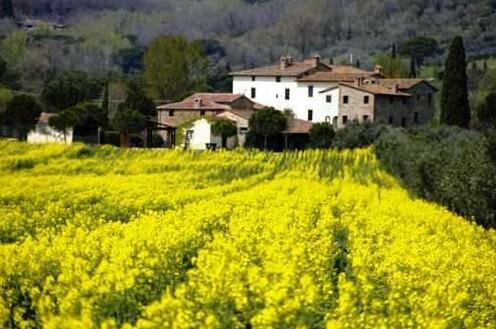 La Fattoria del Rio di Sopra - Photo2