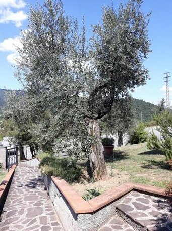 Gli Oleandri B&B - Photo3