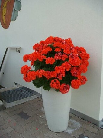 B&B Haus Gruner - Photo5