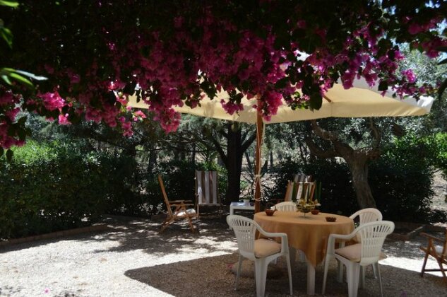 Guest House Bouganville - Photo2