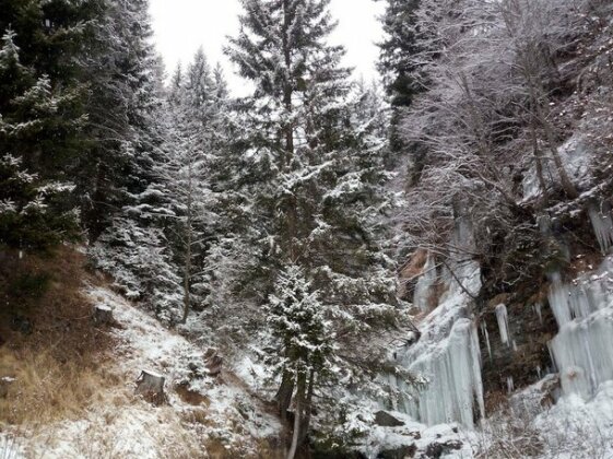 CH Hotel San Carlo - Bormio - Photo4