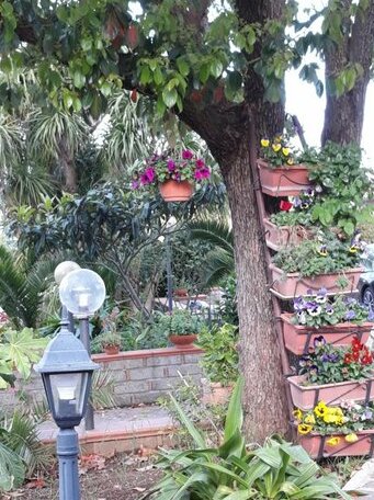 La Camelia B&B - Photo3