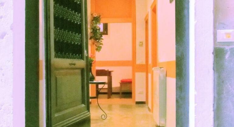 Ca 5393 Orange - Photo3