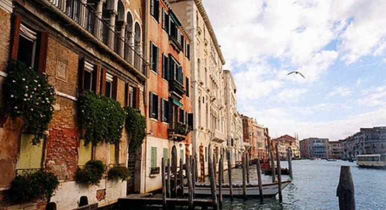 Ca' Angeli - Photo2