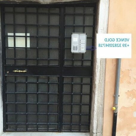 Venice Gold - Photo2