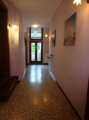 Venice Gold - Photo5