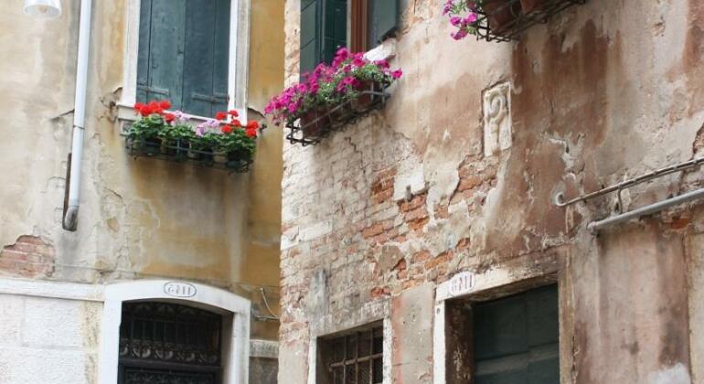 Viva Venezia - Photo2