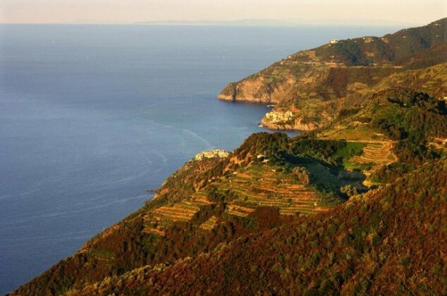La Casetta Vernazza - Photo3