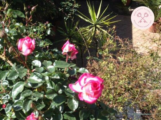 Cortile delle Rose - Photo5