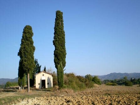 Azienda Agricola Muccianello - Photo2