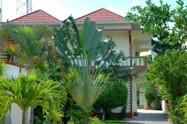 Palm Tree Guest House - Photo4
