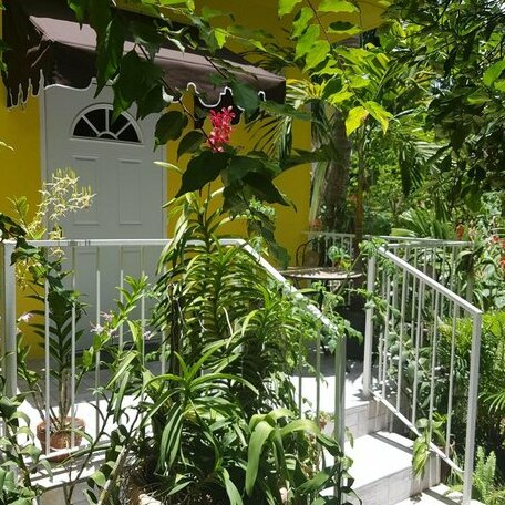 Homestay - Nice self contained cottage - Photo3