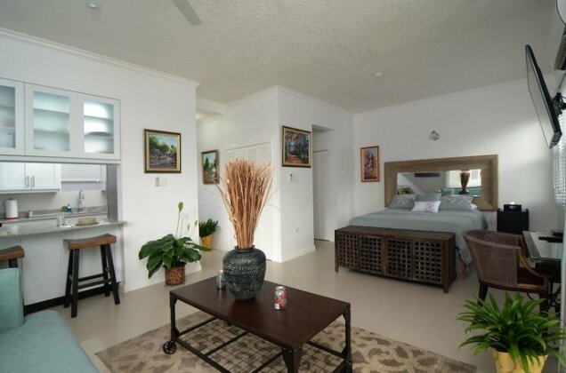 Kingsway New Kingston Guest Apartment II By The Vacation Casa - Photo2